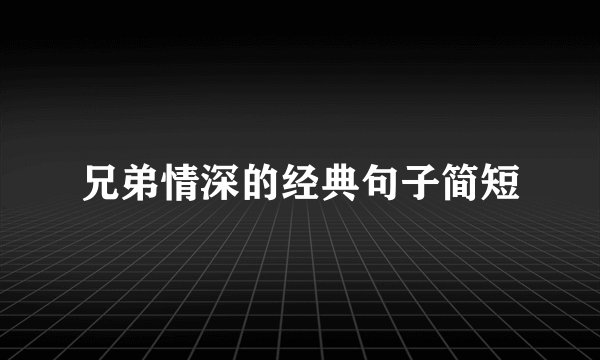 兄弟情深的经典句子简短
