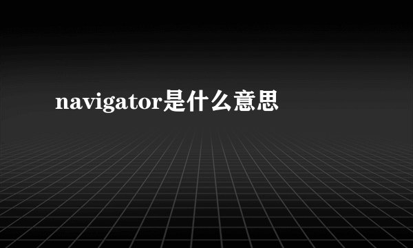 navigator是什么意思