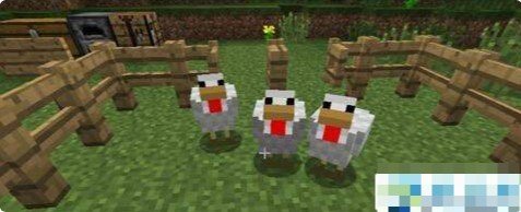 我的世界怎么养动物？动物饲养方法