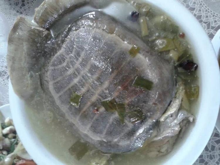 要怎么煮鳖?