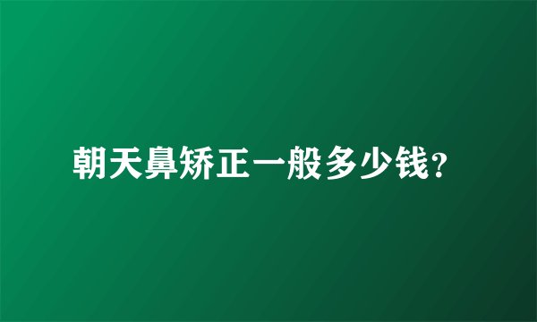 朝天鼻矫正一般多少钱？