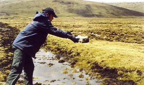 投石问路是啥意思?