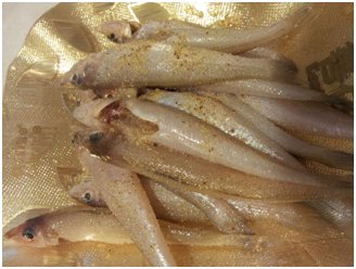 沙丁鱼的做法
