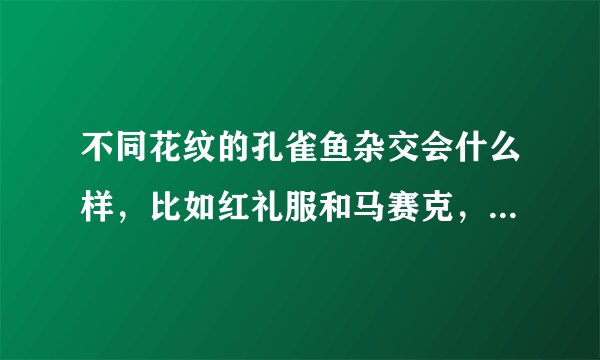 不同花纹的孔雀鱼杂交会什么样，比如红礼服和马赛克，小鱼是马赛克，还是礼服，还是马赛克花纹的礼服，还