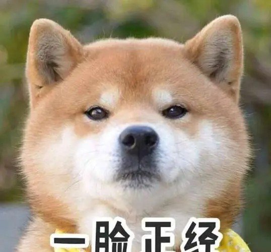 笑话大全 笑破你的肚子的几则笑话