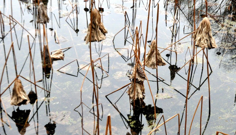 杂乱无章是什么意思？