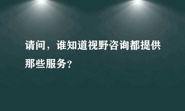 请问，谁知道视野咨询都提供那些服务？