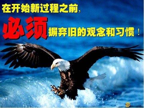 老鹰重生的故事，告诉我们的道理？