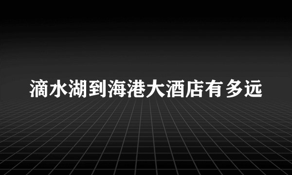 滴水湖到海港大酒店有多远
