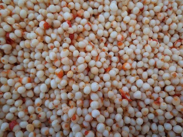 天麻的种植技术