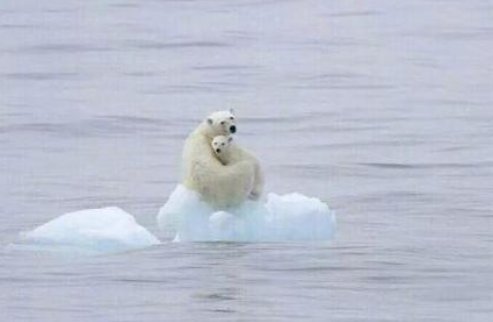 气候变化的影响和危害有哪些