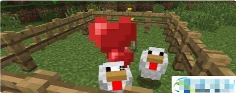 我的世界怎么养动物？动物饲养方法