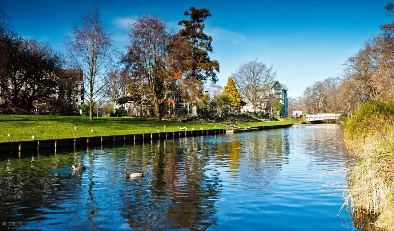 农民工工地朗诵再别康桥，再别康桥是一部怎样的文学？