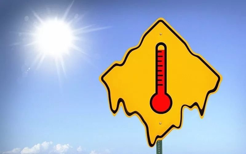 300头猪集体中暑，消防浇水30分钟“续命”，动物为何也会中暑？