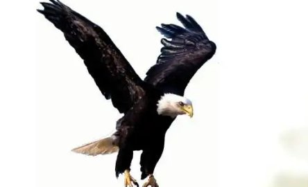 适合高考的歌曲