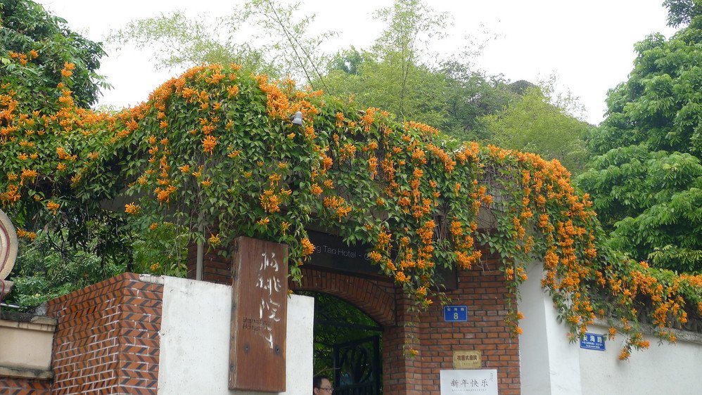 鼓浪屿家庭旅馆推荐