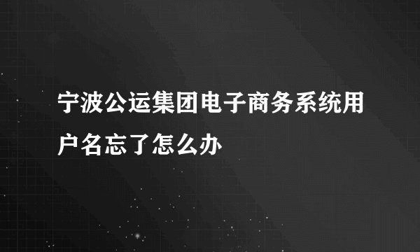 宁波公运集团电子商务系统用户名忘了怎么办