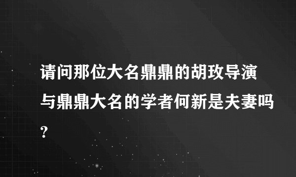 请问那位大名鼎鼎的胡玫导演与鼎鼎大名的学者何新是夫妻吗？