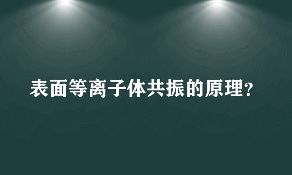 表面等离子体共振的原理？