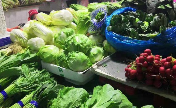 现在“菜比肉还贵”，是因为什么原因呢？