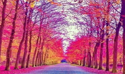 高冷伤感的英文网名有哪些？