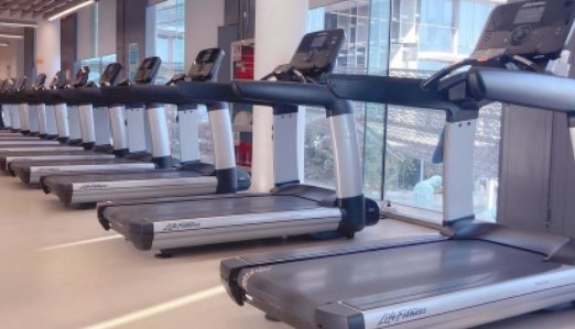 健身器材名称及图片