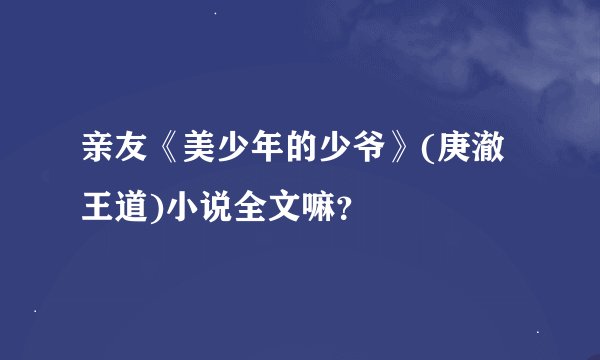 亲友《美少年的少爷》(庚澈王道)小说全文嘛？