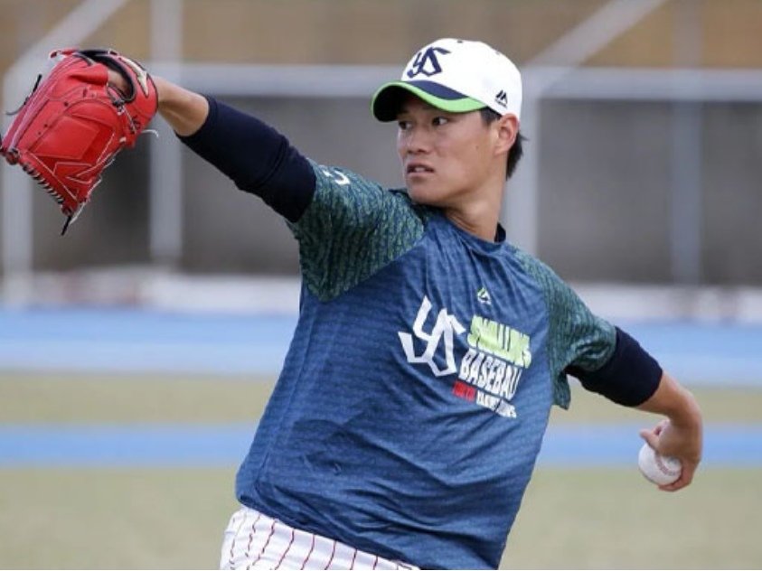 板野友美在综艺节目中宣布自己怀孕的消息,她的男友有何背景?