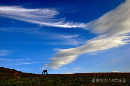梦见有人杀我是什么意思？