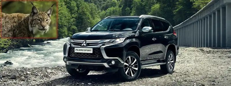 帕杰罗为什么叫山猫，山猫帕杰罗的经典由来