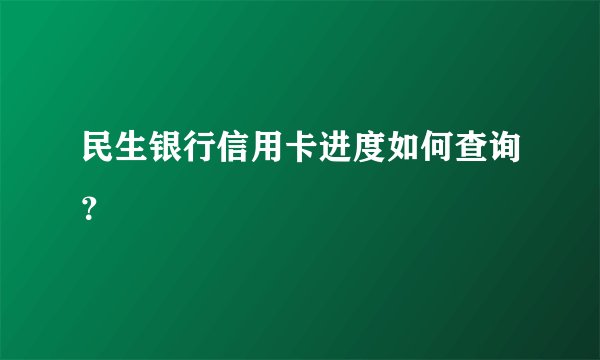 民生银行信用卡进度如何查询？