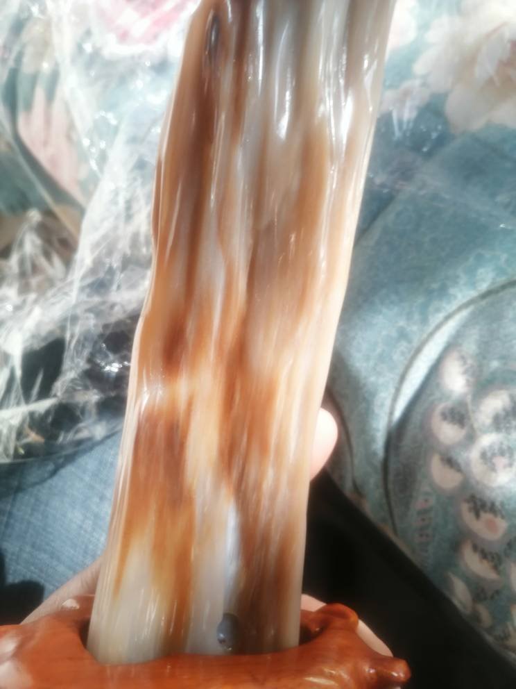 木化石值钱吗？