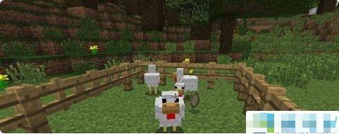 我的世界怎么养动物？动物饲养方法