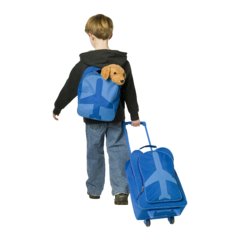 easy come easy go 什么意思