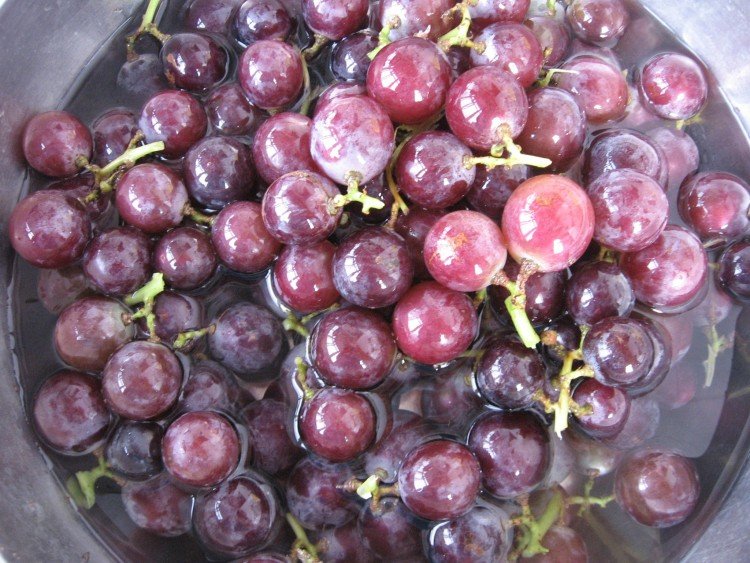 如何自制葡萄酒？