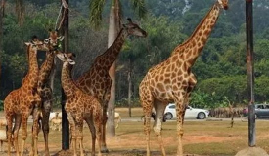 五一带孩子去哪旅游比较好