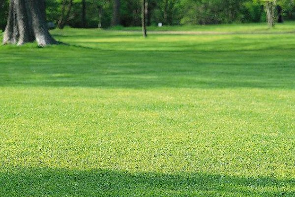 为什么说小糯米是小鬼？