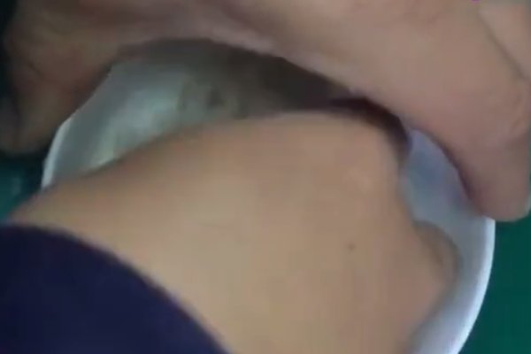 怎么自制鲢鱼饵料