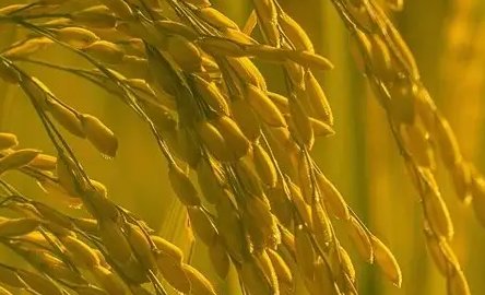 适合高考的歌曲