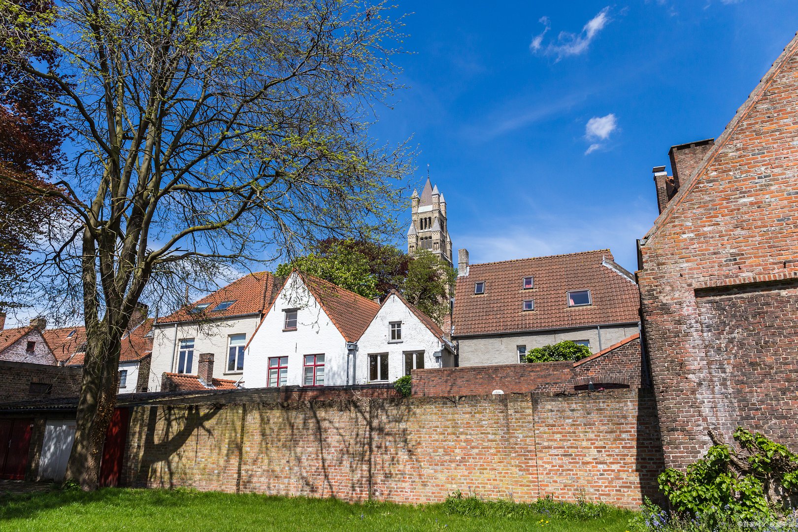 比利时位于欧洲西部，是世界上最棒的巧克力生产国之一吗?