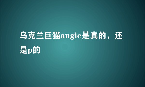 乌克兰巨猫angie是真的，还是p的