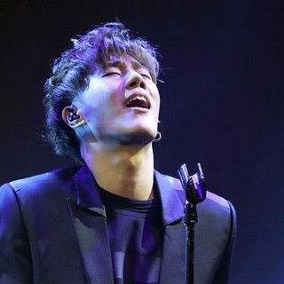 金基利为什么会在网络上爆红？