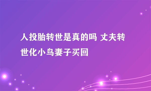 人投胎转世是真的吗 丈夫转世化小鸟妻子买回
