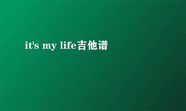 it's my life吉他谱