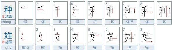 姓组词有哪些词语