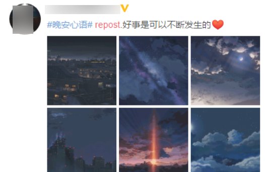微博里repost什么意思