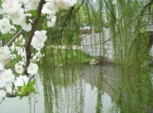 清明节的习俗有哪些？