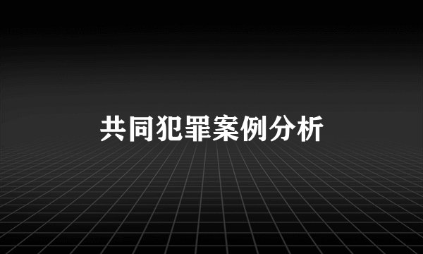 共同犯罪案例分析