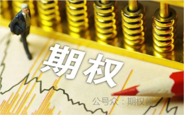 个股期权是什么意思