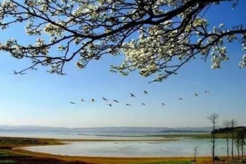 旧貌换新颜什么意思